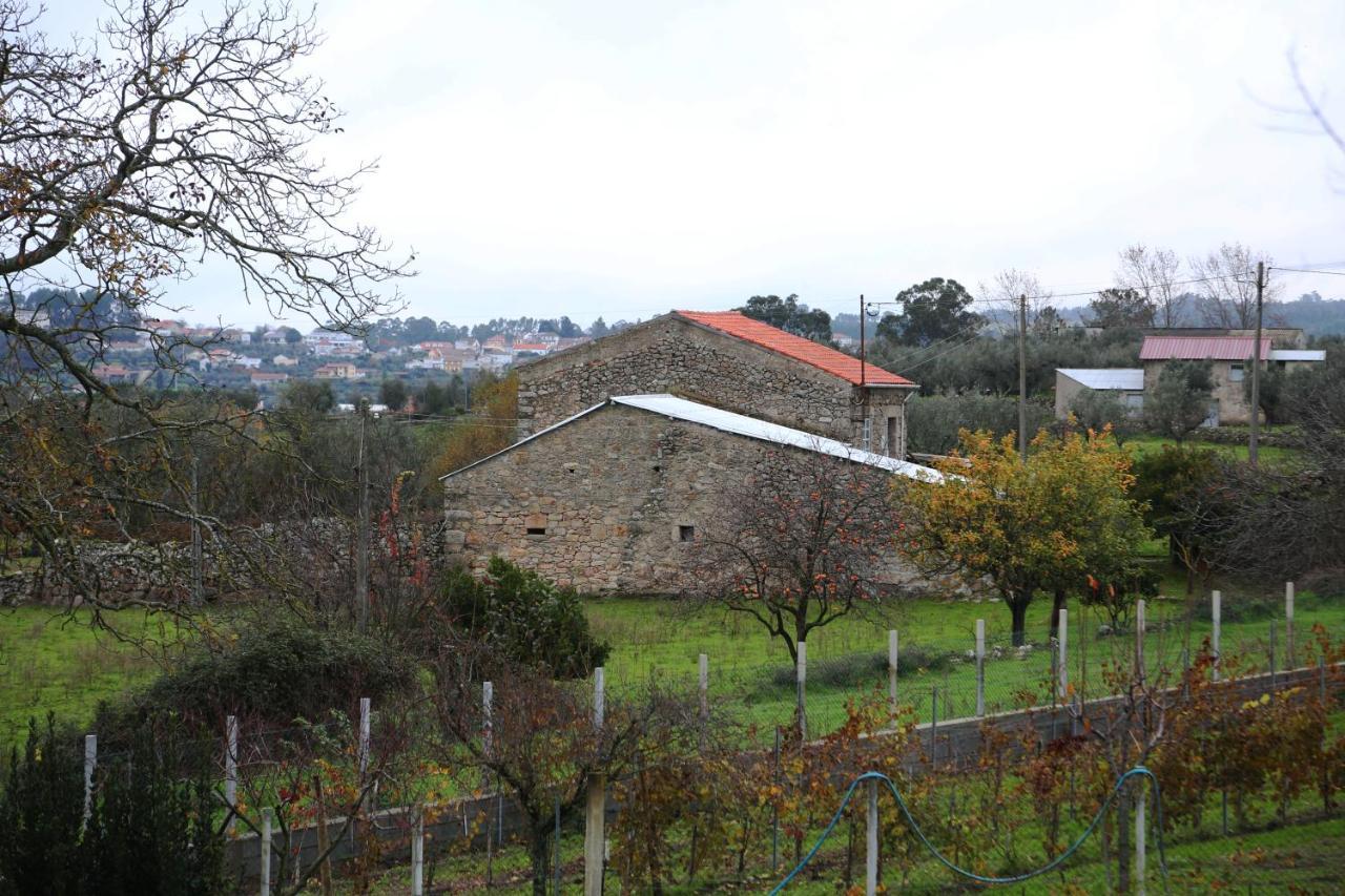 Holiday home Casa D'avo Serra Da Estrela *