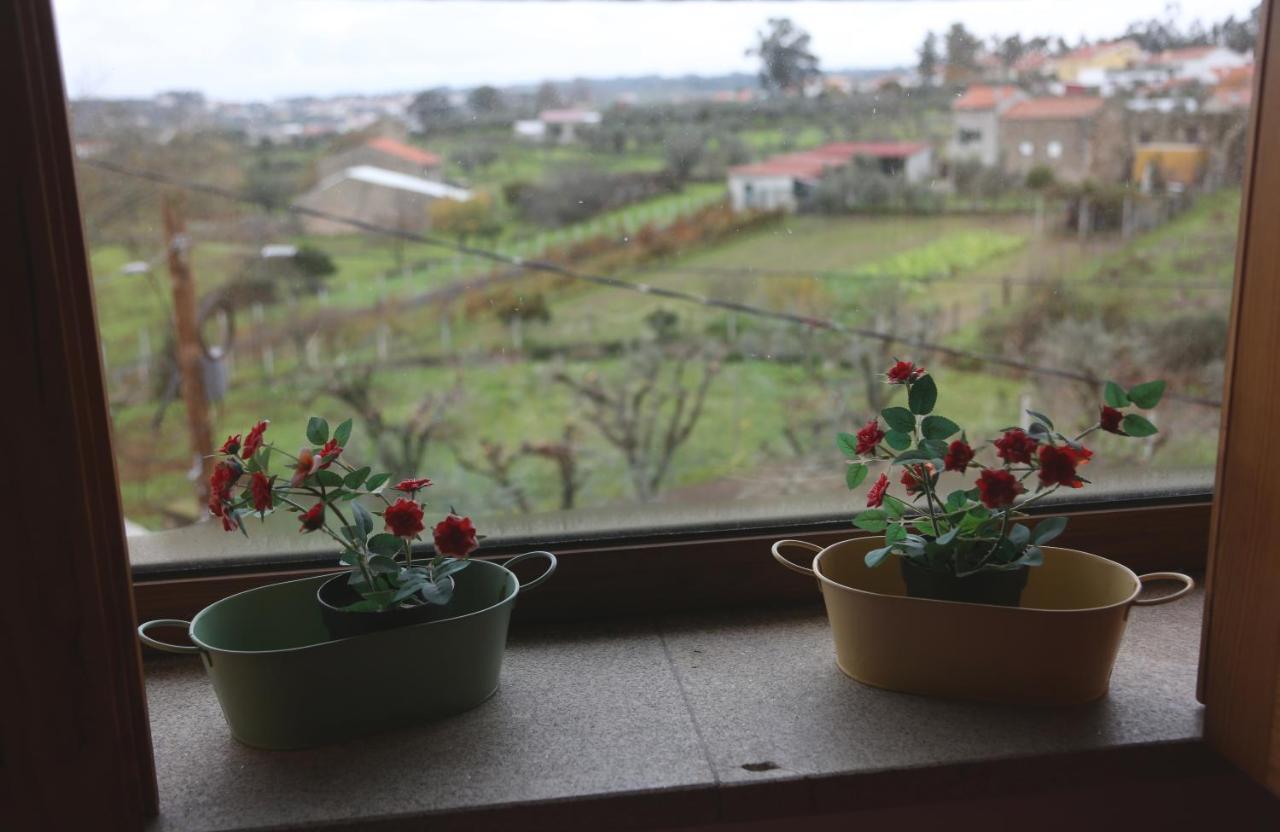 Casa D'avo Serra Da Estrela * Seia