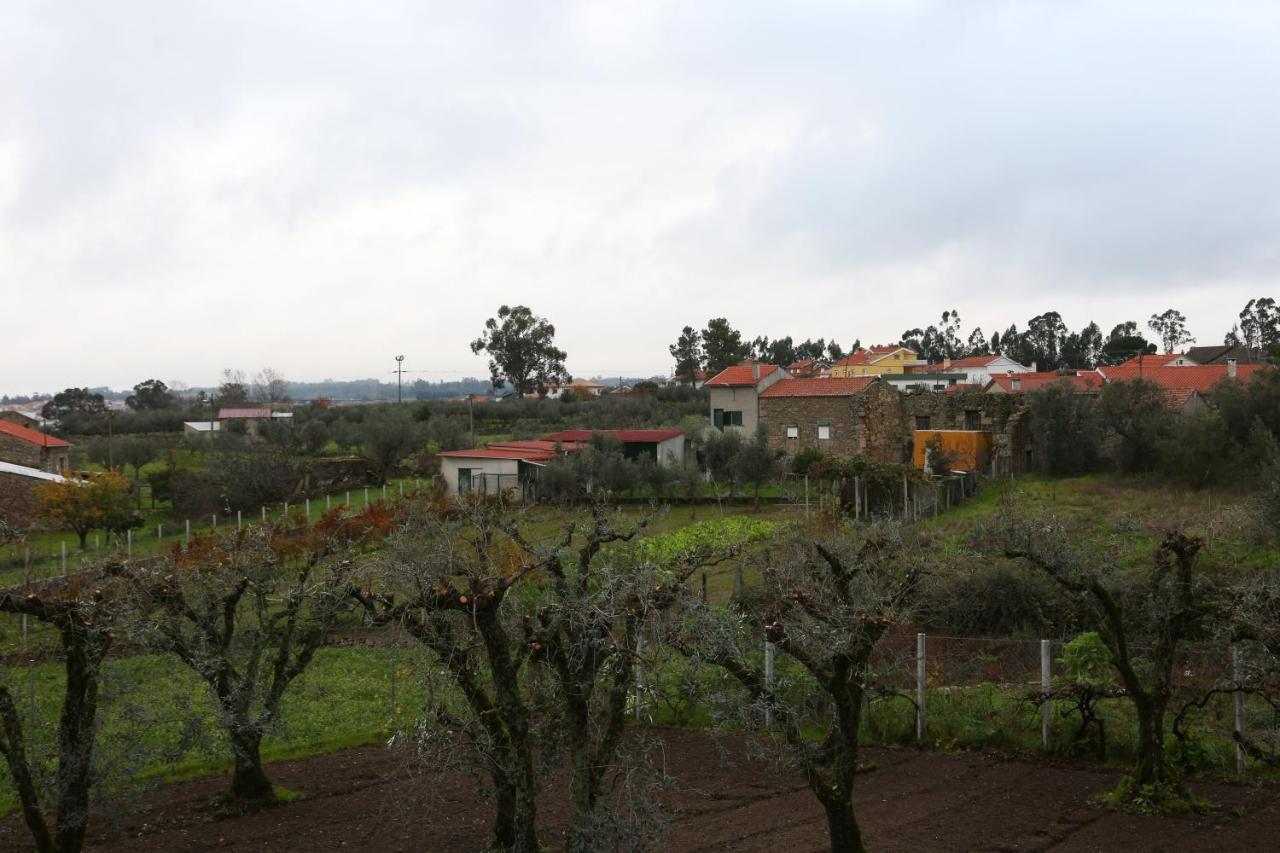 Casa D'avo Serra Da Estrela *